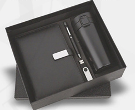 Diary, Pen, Mug, 32 GB Pendrive Set