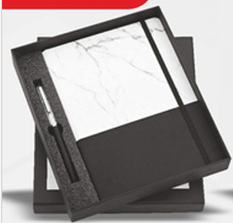 Diary Pen Set
